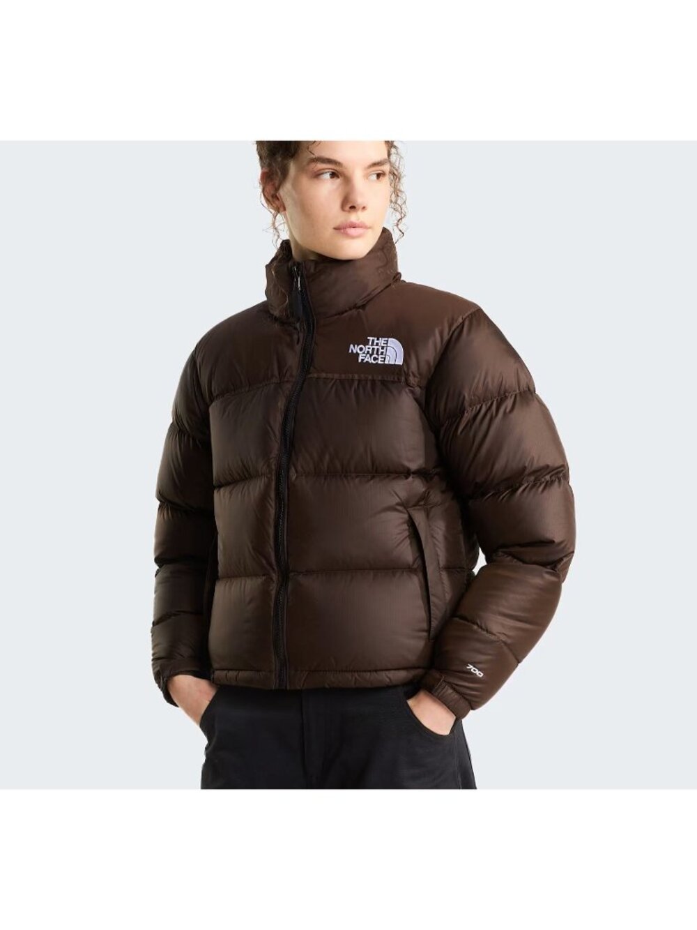 The North Face 1996 Retro Nuptse Jacket Athleisure Outdoor Gorpcore Womens XS